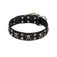 'Rock 'n' Roll Style' FDT Artisan Fancy Leather Pitbull Collar with Skulls, Bones and Studs 1 1/2 inch (40 mm) wide