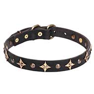'Milky Way' Pit Bull Dog Collar with Bronze-Plated Fineries - 1 inch (25 mm) wide