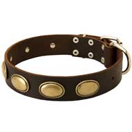 Exclusive Leather Pitbull Collar with Oval Plates