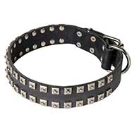 Multifunctional Leather Pitbull Collar with studs