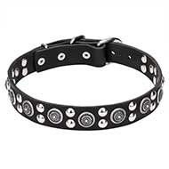 "Galactic Style" Pit Bull Dog Collar Decorated - 1 1/4 inch (30 mm) wide