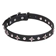 "Pleiades" 1 inch (25 mm) Pit Bull Dog Collar with Chrome Plated Fineries