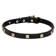 'Modern Style' Pit Bull Terrier Dog Walking Collar with Pyramids - 3/4 inch (20 mm) wide
