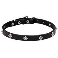 'Cosmic Stars' Narrow Leather Pit Bull Terrier Dog Collar - 3/4 inch (20 mm) wide
