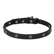 'Sparkling Beauty' Pit Bull Leather Dog Collar with Engraved Studs - 3/4 Inch (20 mm) wide
