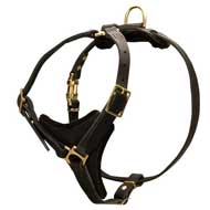 Reliable Padded Pitbull Leather Harness for Walking and Tracking