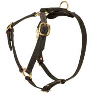 Luxury Leather Tracking/Walking Harness For Pitbull