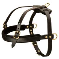 Effective Tracking/Pulling Leather Harness for Pit Bull