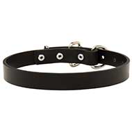 1 Inch Wide Leather Pitbull Collar With Steel Nickel Plated Hardware