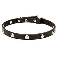 'Shiny Necklace' Trendy Design Pit Bull Leather Dog Collar - 3/4 Inch (20 mm) wide