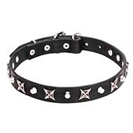 "Blazing Stars" 4/5 inch (25 mm) Decorated Pit Bull Leather Collar