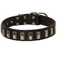 Classy Leather Pitbull Collar with Vertical Nickel Plates