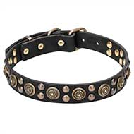 "Boho Style" Pit Bull Dog Collar with Rich Adornment - 1 1/4 inch (30 mm) wide