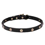 'Sunny Beams' Pit Bull Dog Collar with Beautifully Engraved Studs - 3/4 inch (20 mm) wide