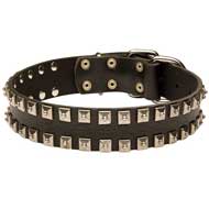 Original Leather Pitbull Collar with 2 Rows of Nickel Studs