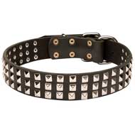 Decorated Leather Pitbull Collar with 3 Rows of Nickel Studs