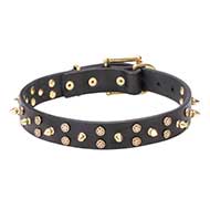 "Space Travel" 1 1/5 inch - 30 mm Leather Pitbull Collar with Brass Stars and Spikes