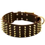 Wide Leather Pitbull Collar with Brass Spikes for Stylish Walking