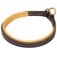 Stitched Leather Pitbull Choke Collar for Control Over Your Dog