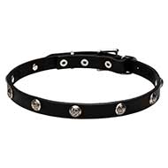 Designer Leather Dog Collar with Studs - 4/5 inch - 20 mm