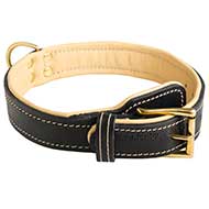 Royal Nappa Padded Hand Made Leather Pitbull Collar