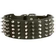 Strong Adjustable Spiked and Studded Leather Pitbull Collar for Walking