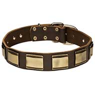 Designer Leather Pitbull Collar with Vintage Plates