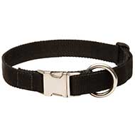 High-quality Adjustable Nylon Pitbull Collar for Training and Walking