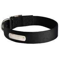 Strong Nylon Pit Bull Collar for Walking and Training with ID Tag