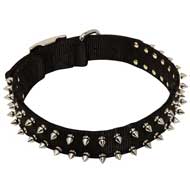 Adjustable Nylon Pitbull Collar with Nickel-Plated Spikes