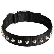 Sophisticated Studded Nylon Dog Colllar for Pitbull