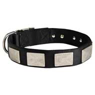 Custom Nylon Dog Collar with Vintage Plates for Pitbulls