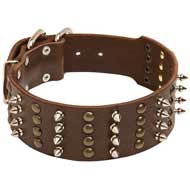 2 inch wide Spiked and Studded Pitbull Collar