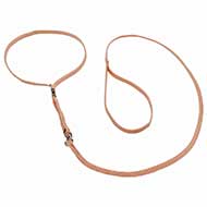 Pitbull 'Champion' Nylon Collar & Lead Combo