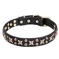 "Vintage Legacy" 1 1/4 inch (30 mm) Pit Bull Dog Collar Decorated