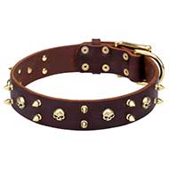 'Hard Rock' Pitbull Leather Dog Collar with Brass Skulls and Spikes - 1 3/5 inch (40 mm) wide