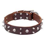 'Blackbeard' 1 3/5 inch (40 mm) Wide Leather Pitbull Dog Collar with Skulls and Spikes