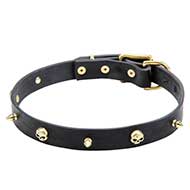 'Rock the Goth' Leather Pitbull Collar with Brass Skulls and Spikes - 1 inch (25 mm) wide