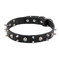 'Jolly Roger' Leather Pitbull Collar with Skulls and Two Rows of Spikes - 1 1/10 inch (30 mm) wide