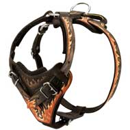 Hand Painted Leather Pitbull Harness with Handle for Proper Control