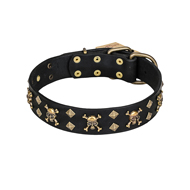 'Jolly Rojer' FDT Artisan Pitbull Leather Dog Collar with Pirate Skulls and Studs - 1 1/2 inch (40 mm) wide