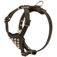 Studded Pitbull Puppy Harness for Training and Walking