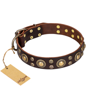 'Flower Melody' FDT Artisan Brown Leather Pitbull Collar with Mixed Studs