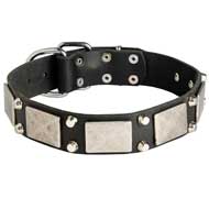 Fashion War Leather Pitbull Collar with 2 Pyramids and Plate Adornment