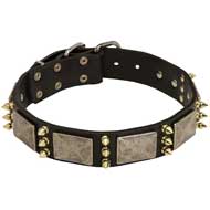 Gorgeous Leather Pitbull Collar