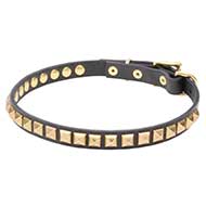 'Necklace-like' Pit Bull Dog Collar with Shining Studs - 4/5 inch (20 mm) wide