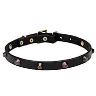 'Age of Style' Pit Bull Terrier Leather Dog Collar with Beautiful Cones - 3/4 inch (20 mm) wide