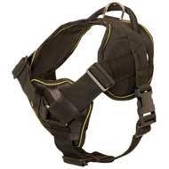 Lightweight Pulling Nylon Dog Harness for Pitbull with Handle