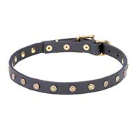 'Stars' Decorated Leather Pitbull Collar with Brass Studs - 4/5 inch (20 mm) wide