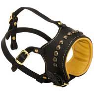 No Bark Leather Pitbull Muzzle with Row of Look Rusted Studs